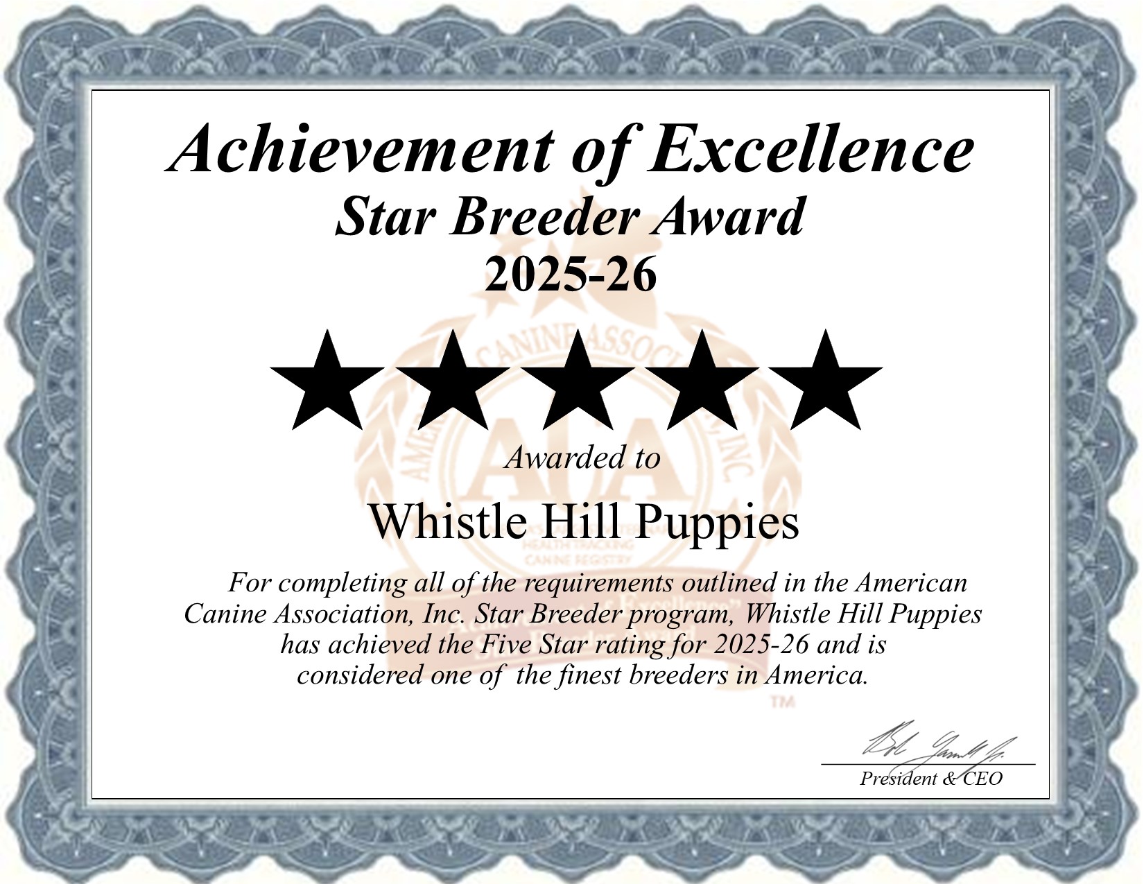 Whistle, Hill Puppies, dog, breeder, star, certificate, Whistle-Hill Puppies, Denver, PA, Pennsylvania, puppy, dog, kennels, mill, puppymill, usda, 5-star, aca, ica, registered, cockapoo, pomski, pa-doglaw